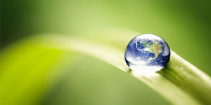 environment